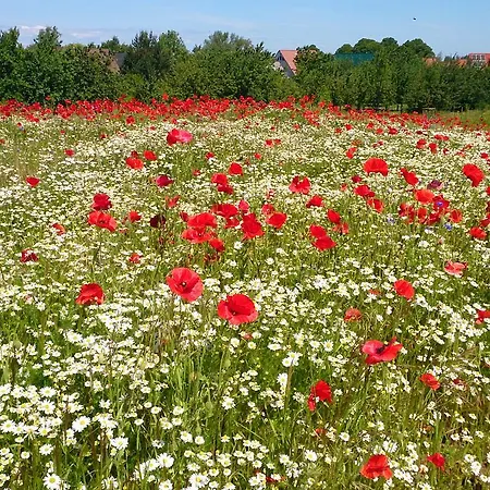Von Jutrzenka 酒店 Ostseebad Kühlungsborn