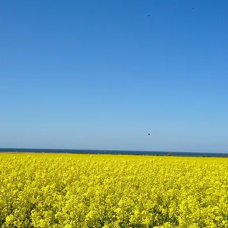 Von Jutrzenka ホテル *